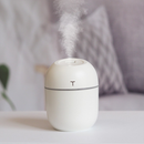 Mini Umidificador BZ-021 Difusor Aromatizador Egg Portátil Usb Led Aromatizador De Ambiente Purificador De Ar Casa Escritório Escola